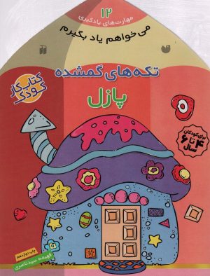 کتاب تکه های گمشده | انتشارات ذکر