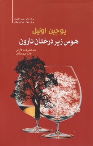 کتاب هوس زیر درختان نارون | انتشارات سبزان
