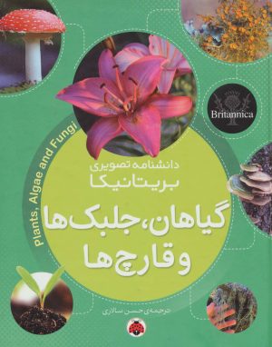 کتاب گیاهان، جلبک ها و قارچ ها | انتشارات شهر قلم