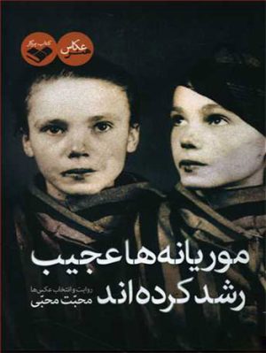 کتاب موریانه ها عجیب رشد کرده اند | انتشارات کتاب پرگار
