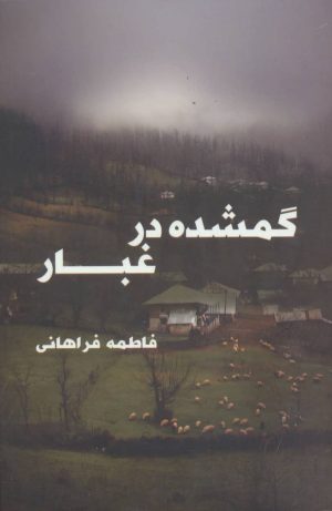 کتاب گمشده در غبار | انتشارات روشا