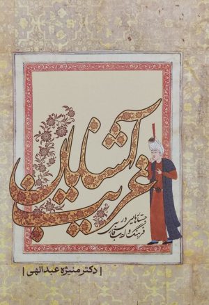 کتاب آشنایان غریب | انتشارات معین
