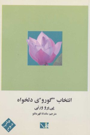 کتاب انتخاب گوروی دلخواه | انتشارات مس