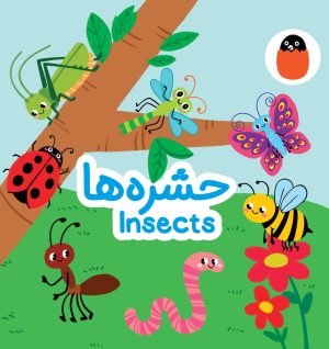 کتاب حشره‌ها | انتشارات کتاب پرنده
