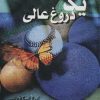 کتاب یک دروغ عالی | انتشارات روشا