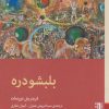 کتاب بلبشو دره | انتشارات برج