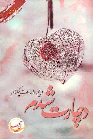 کتاب دچارت شدم | انتشارات آئی سا