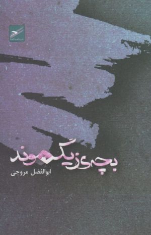 کتاب بچه ی زیگموند | انتشارات حکمت کلمه