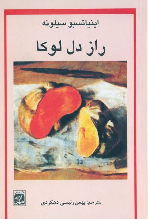 کتاب راز دل لوکا | انتشارات آزاد مهر