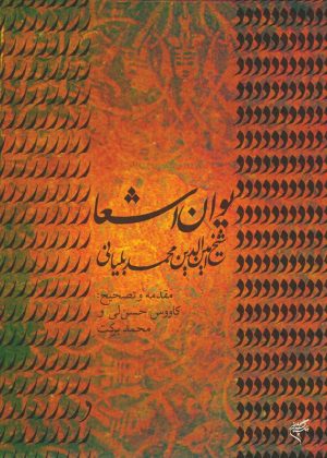 کتاب دیوان اشعار شیخ امین الدین محمد بلیانی | انتشارات فرهنگستان هنر
