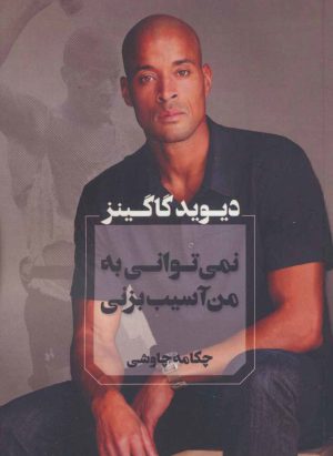 کتاب نمی توانی به من آسیب بزنی | انتشارات آوای چکامه