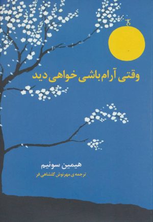 کتاب وقتی آرام باشی خواهی دید | انتشارات برکه خورشید