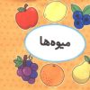کتاب اولین کتاب تصویری من (میوه‌ها) | انتشارات تاووس