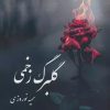 کتاب گلبرگ زخمی | انتشارات آئی سا