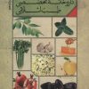 کتاب داروخانه تخصصی طب اسلامی | انتشارات ارمغان طوبی