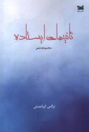 کتاب ثانیه‌های ایستاده | انتشارات خزه