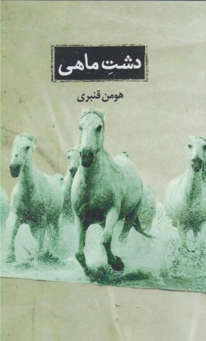 کتاب دشت ماهی | انتشارات حکمت کلمه