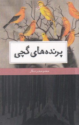 کتاب پرنده های گچی | انتشارات حکمت کلمه