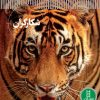 کتاب شکارگران | انتشارات فنی ایران نردبان