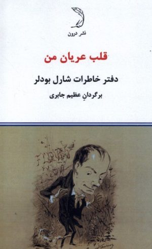 کتاب قلب عریان | انتشارات درون