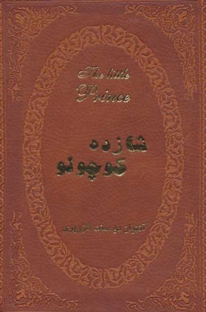 کتاب شازده کوچولو | انتشارات پارمیس