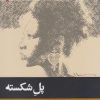 کتاب پل شکسته | انتشارات پریان