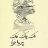کتاب یک پیک نیک پرماجرا | انتشارات نشانه