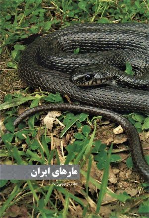 کتاب مارهای ایران | انتشارات ایران شناسی