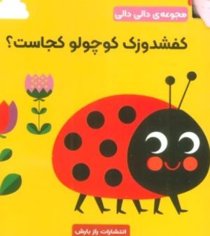کتاب کفشدوزک کوچولو کجاست؟ | انتشارات راز بارش