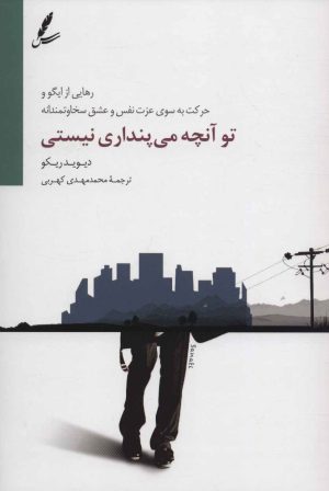 کتاب تو آنچه می پنداری نیستی | انتشارات سایه سخن