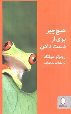 کتاب هیچ چیز برای از دست دادن نیست | انتشارات کتابسرای میردشتی