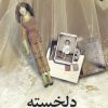 کتاب دلخسته | انتشارات ورجاوند