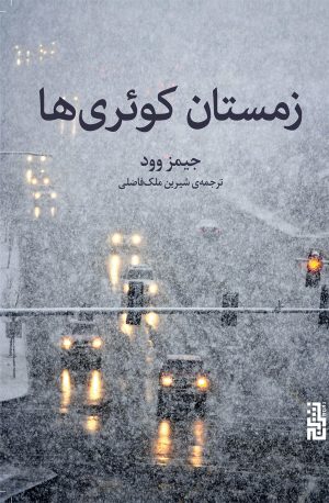 کتاب زمستان کوئری ها | انتشارات برج