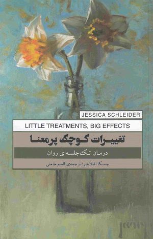 کتاب تغییرات کوچک پرمعنا | انتشارات پندار تابان