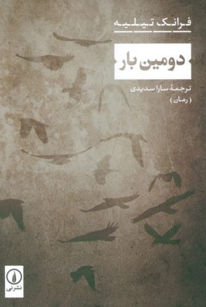 کتاب دومین بار | انتشارات نشر نی