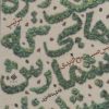 کتاب سنگ ریزه هایی که شمارش نشدند | انتشارات آرما