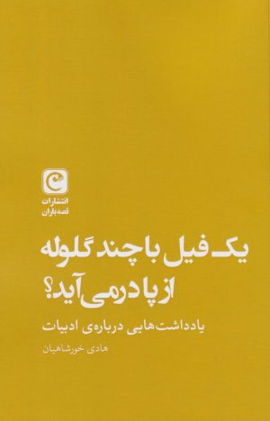 کتاب یک فیل با چند گلوله از پا در می‌آید | انتشارات قصه باران