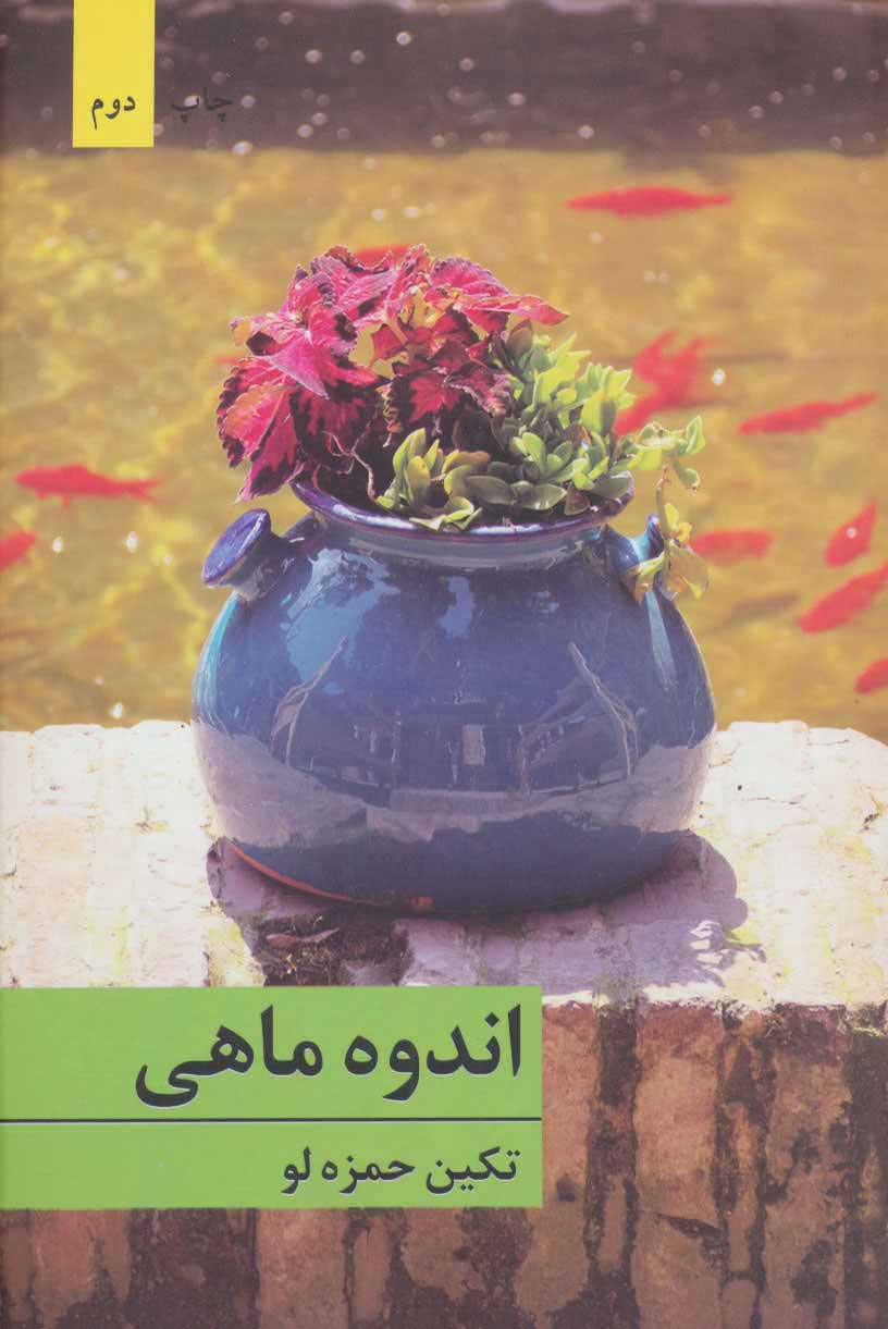 کتاب اندوه ماهی | انتشارات برکه خورشید