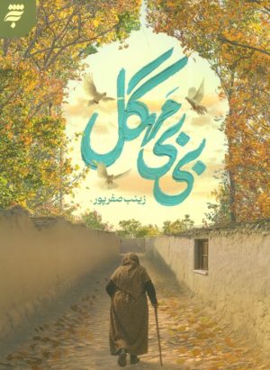 کتاب بی‌بی مهگل | انتشارات به نشر