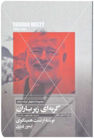 کتاب گربه ای زیر باران | انتشارات مهتاب