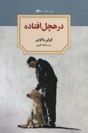 کتاب در هچل افتاده | انتشارات دیدآور