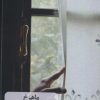 کتاب ماهرخ | انتشارات زرین اندیشمند