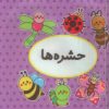 کتاب اولین کتاب تصویری من (حشره‌ها) | انتشارات تاووس