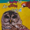 کتاب چرا جغدها و پرندگان دیگر پر دارند؟ | انتشارات تاووس