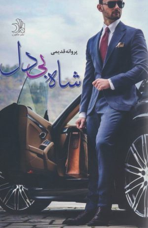 کتاب شاه بی دل | انتشارات ماهین