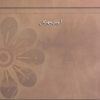 کتاب حکایت شناسی | انتشارات گام نو