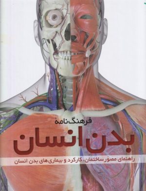 کتاب فرهنگ نامه بدن انسان | انتشارات طلایی