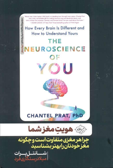 کتاب هویت مغز شما | انتشارات سایلاو