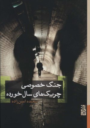 کتاب جنگ خصوصی چریک های سال خورده | انتشارات برج