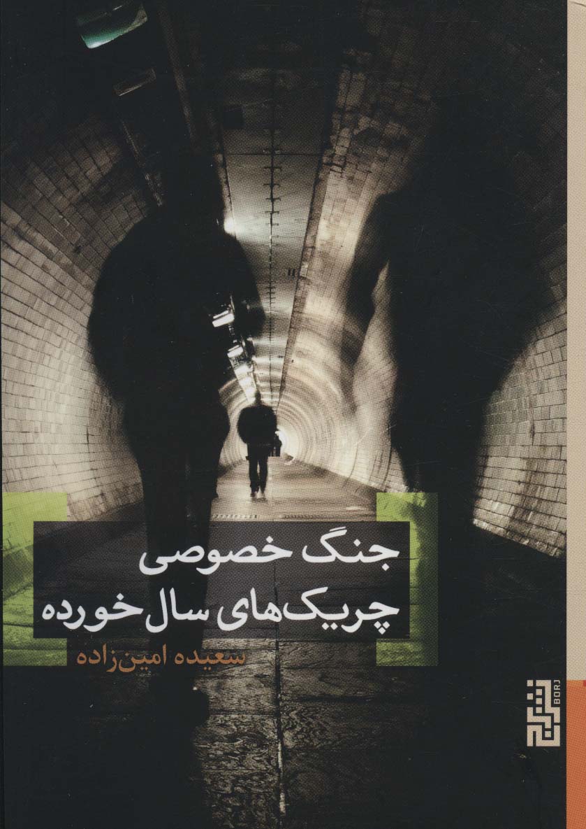 کتاب جنگ خصوصی چریک های سال خورده | انتشارات برج